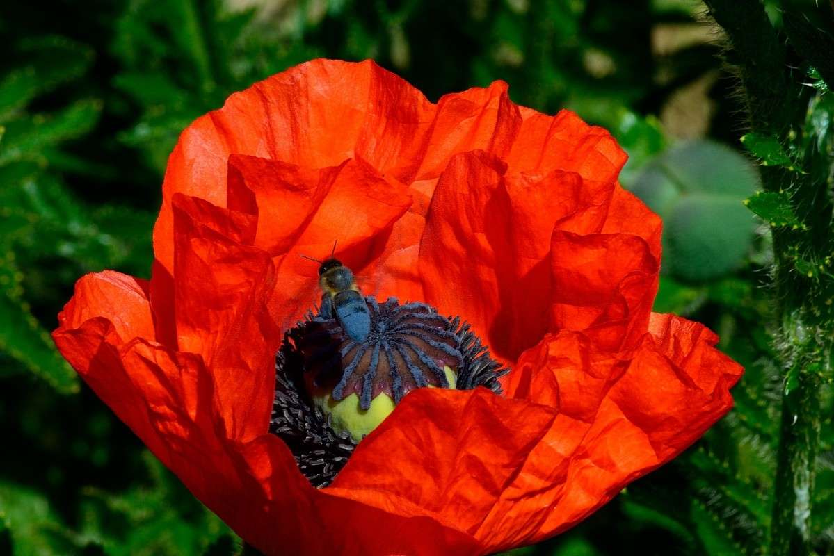 ������ :) ����� S  �� PhotoGeek.ru #�������� ���