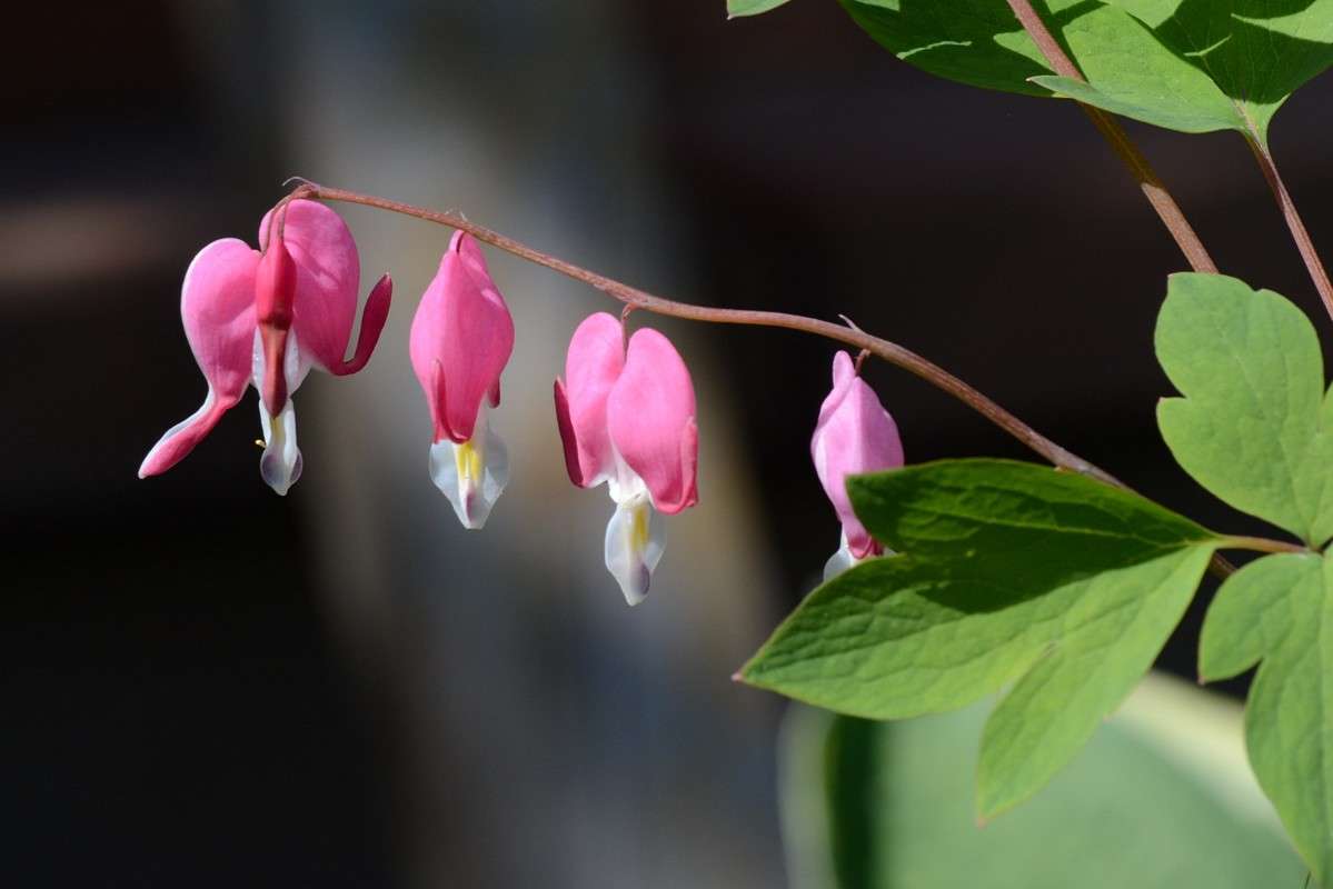 ... ����� S  �� PhotoGeek.ru #������ ��� ������� #����� ��������������