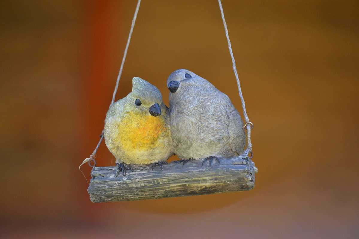 ������� ����� S  �� PhotoGeek.ru #�������� ����������