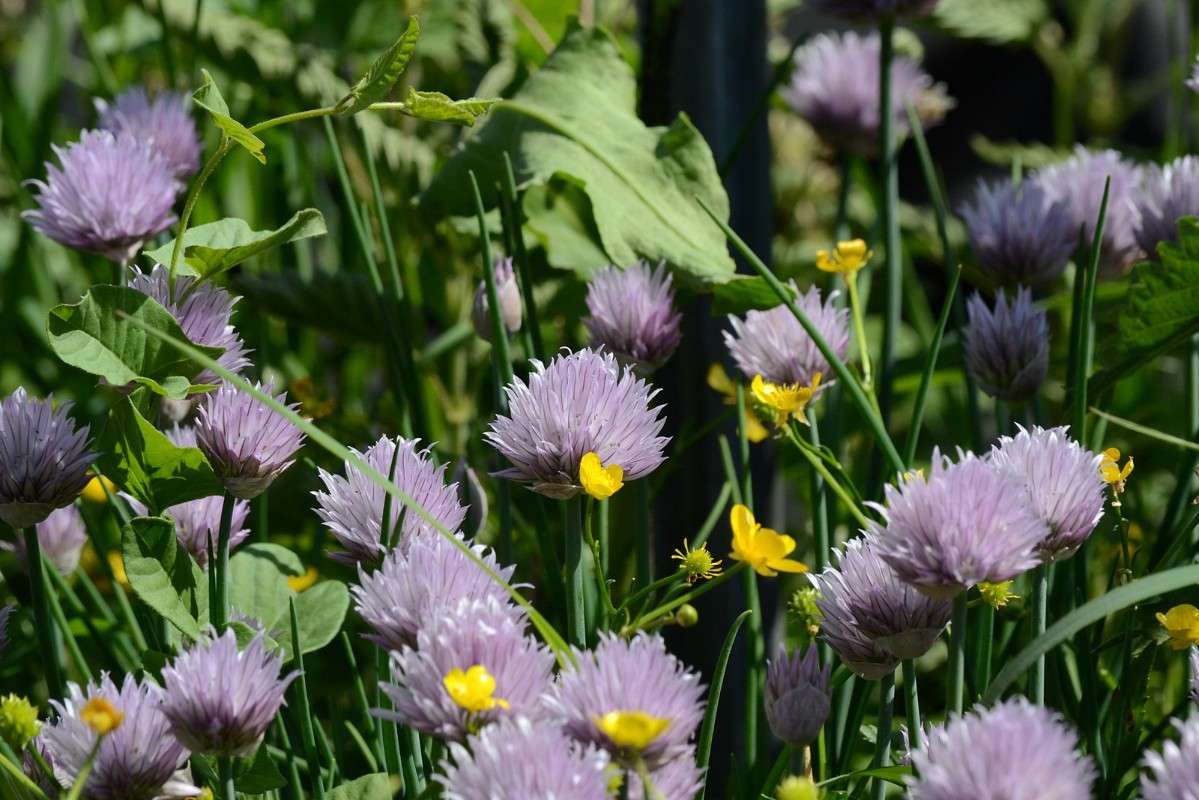 ... ����� S  �� PhotoGeek.ru #������ ��� �������