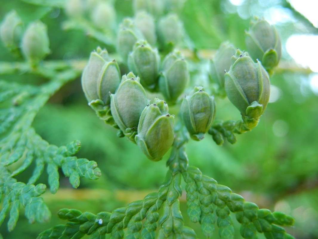 ��� ����� S  �� PhotoGeek.ru #������ ��� ������� #����� ��������������