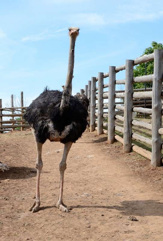 ... ����� S  �� PhotoGeek.ru #�������� ���