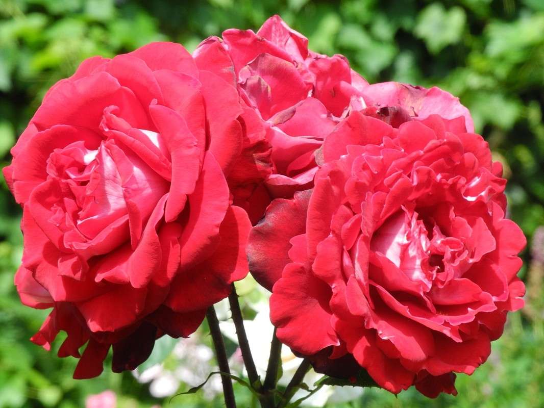 ... ����� S  �� PhotoGeek.ru #������ ��� ������� #����� ��������������