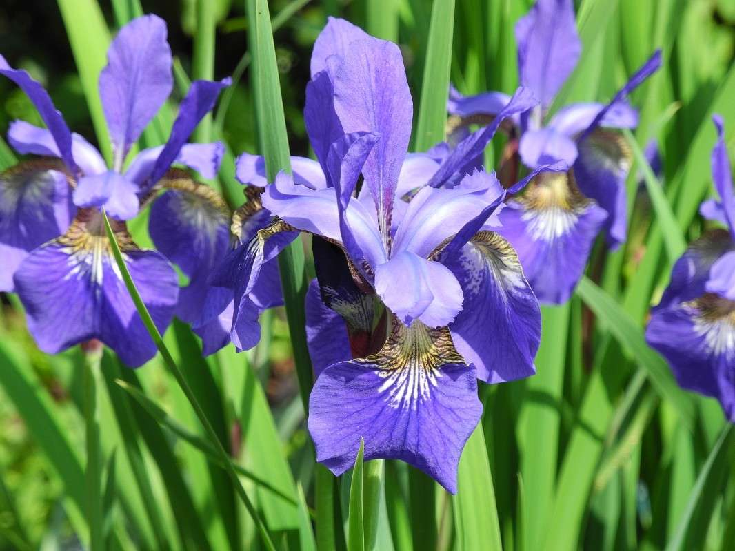 ... ����� S  �� PhotoGeek.ru #������ ��� ������� #����� ��������������