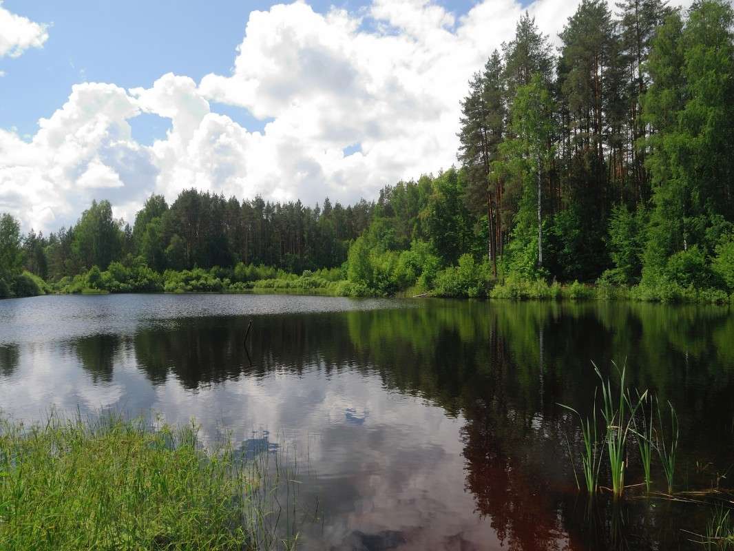 ... ����� S  �� PhotoGeek.ru #������ ��� �������