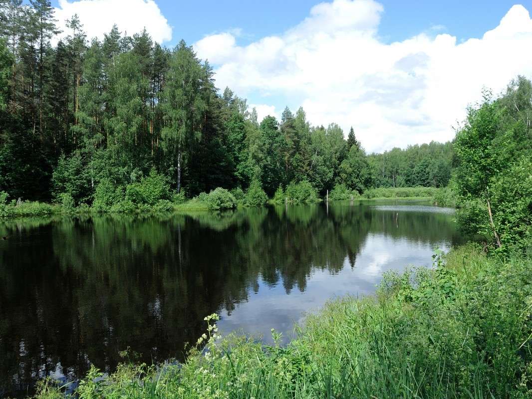 ... ����� S  �� PhotoGeek.ru #������ ��� �������