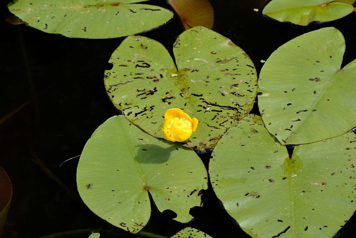 ... ����� S  �� PhotoGeek.ru #������ ��� �������