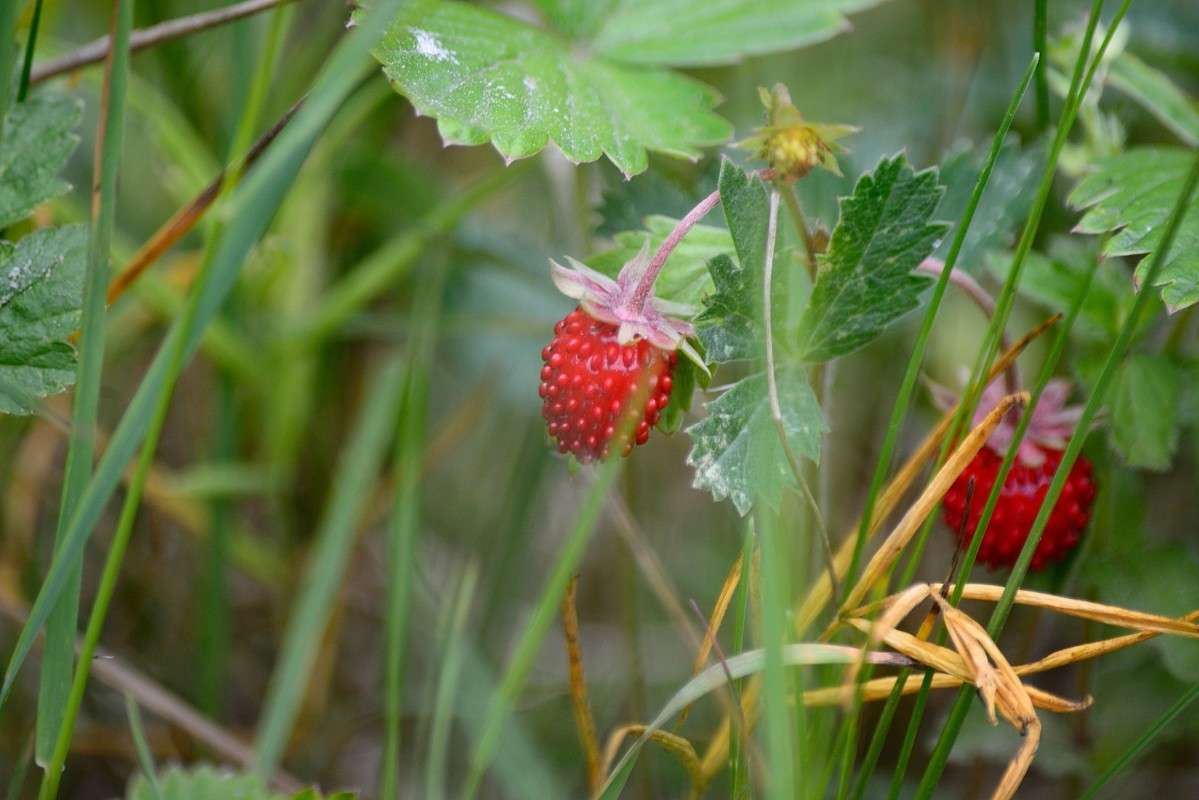 ... ����� S  �� PhotoGeek.ru #������ ��� �������