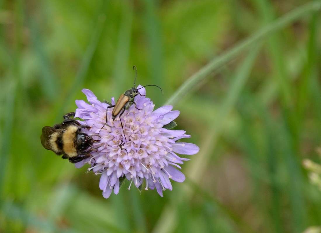 �� �����... ����� S  �� PhotoGeek.ru #�������� ���