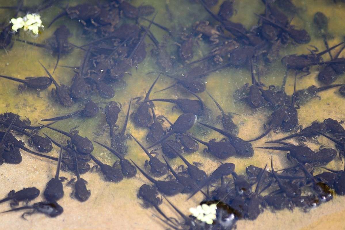 ���������� ����� S  �� PhotoGeek.ru #�������� ���