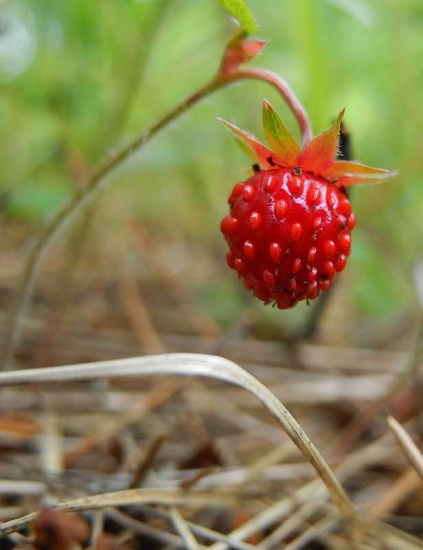 ��������� ����� S  �� PhotoGeek.ru #������ ��� �������