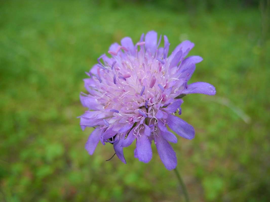 ... ����� S  �� PhotoGeek.ru #������ ��� �������