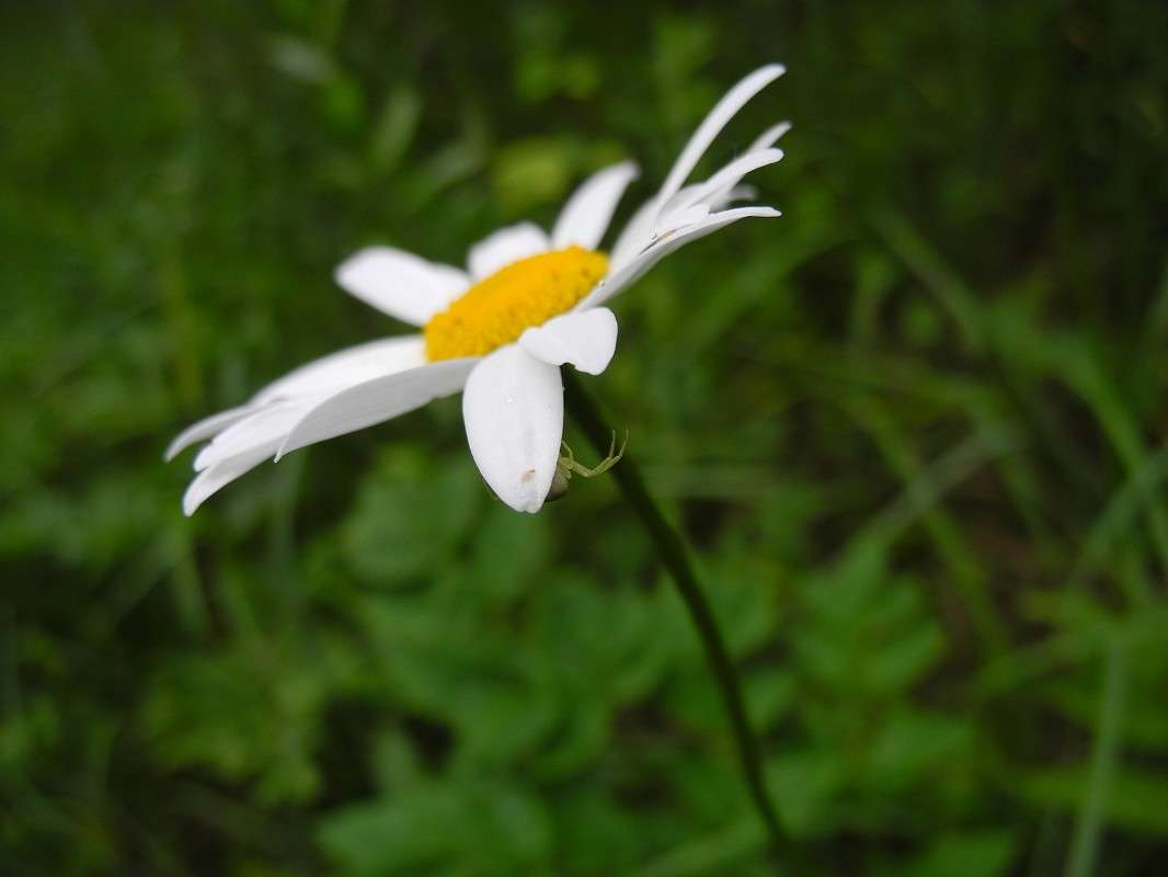 ���� � ������ ����� S  �� PhotoGeek.ru #������ ��� ������� #����� ��������������