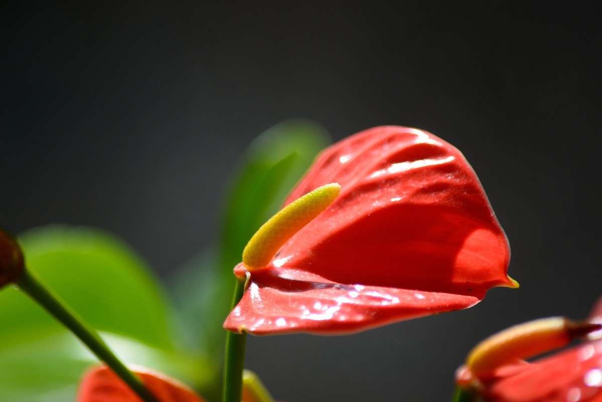 ... ����� S  �� PhotoGeek.ru #������ ��� ������� #����� ��������������