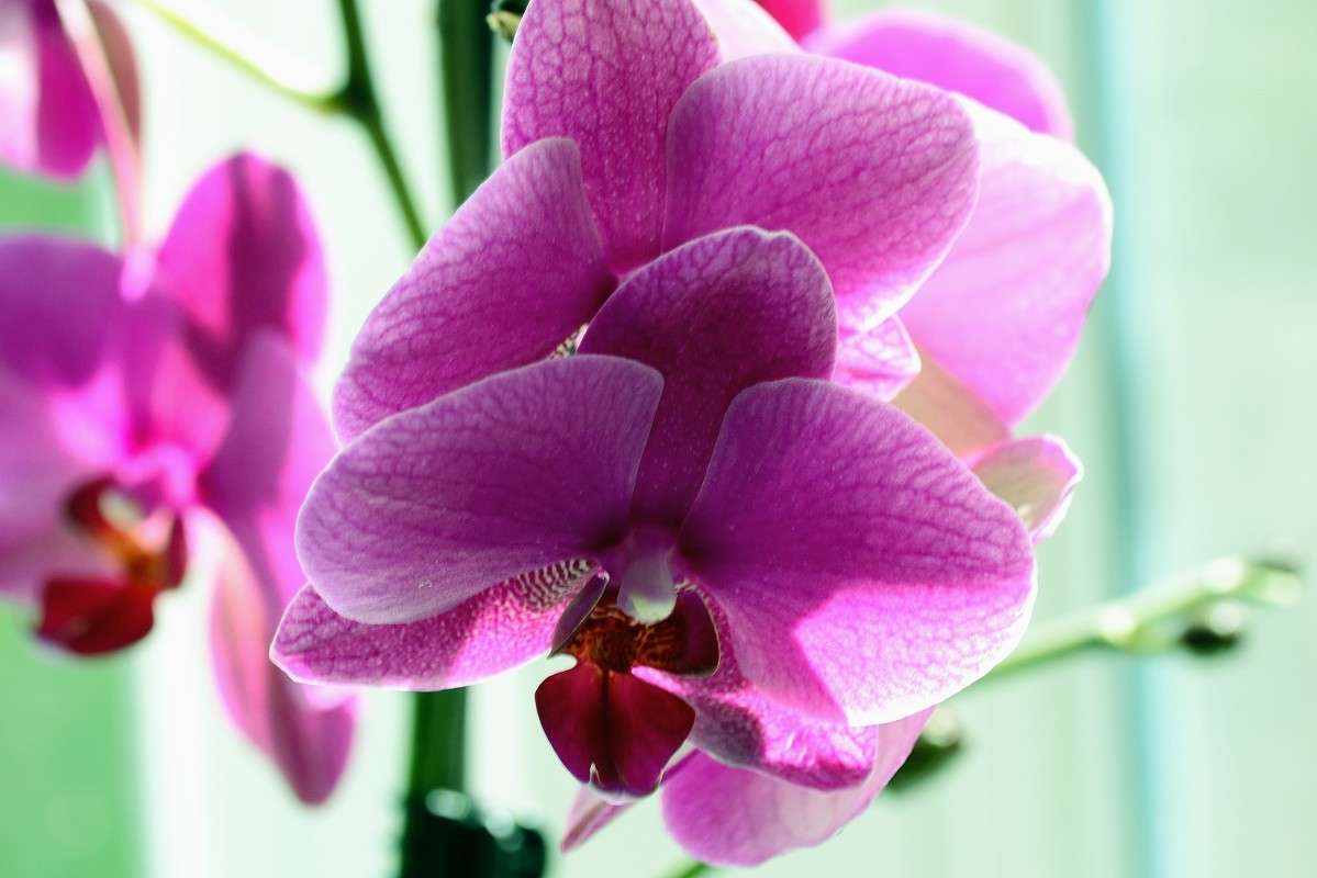 ... ����� S  �� PhotoGeek.ru #������ ��� ������� #����� ��������������