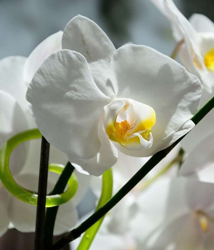 ... ����� S  �� PhotoGeek.ru #������ ��� ������� #����� ��������������