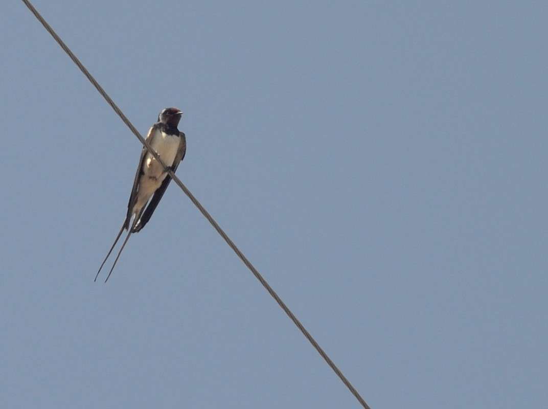 ... ����� S  �� PhotoGeek.ru #�������� ���