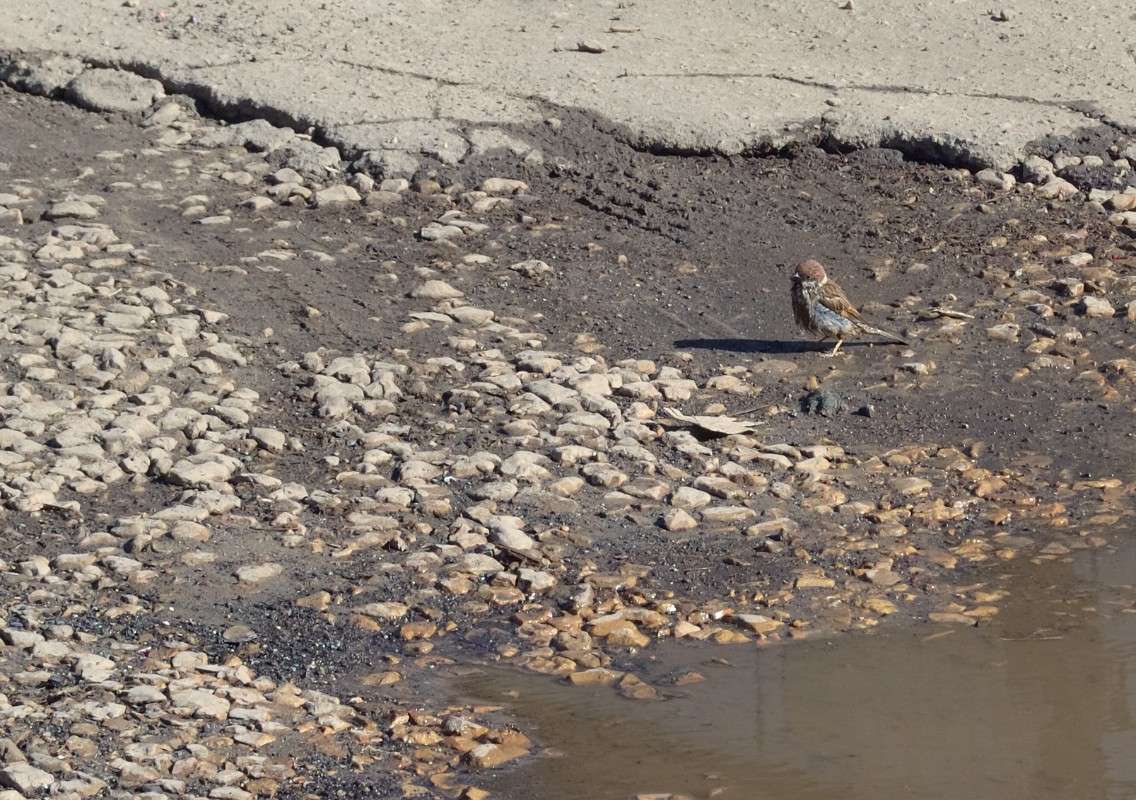 ... ����� S  �� PhotoGeek.ru #�������� ���