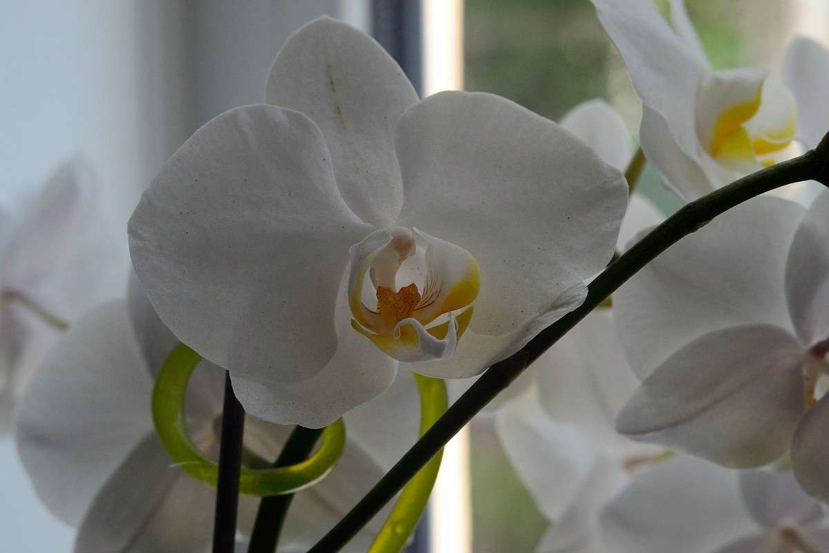 ... ����� S  �� PhotoGeek.ru #������ ��� ������� #����� ��������������