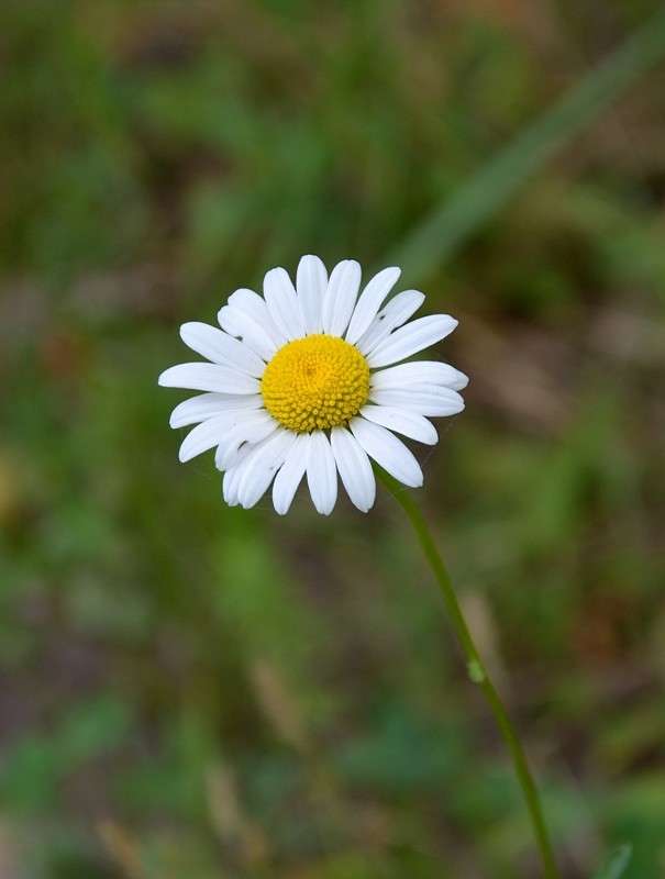 ... ����� S  �� PhotoGeek.ru #������ ��� ������� #����� ��������������