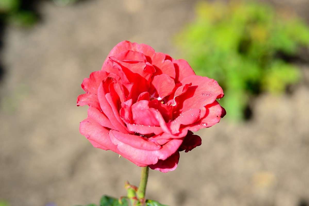 ... ����� S  �� PhotoGeek.ru #������ ��� ������� #����� ��������������