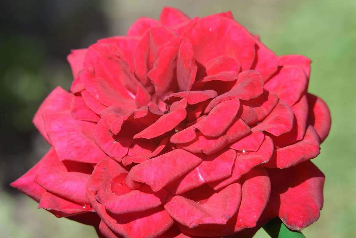 ... ����� S  �� PhotoGeek.ru #������ ��� �������