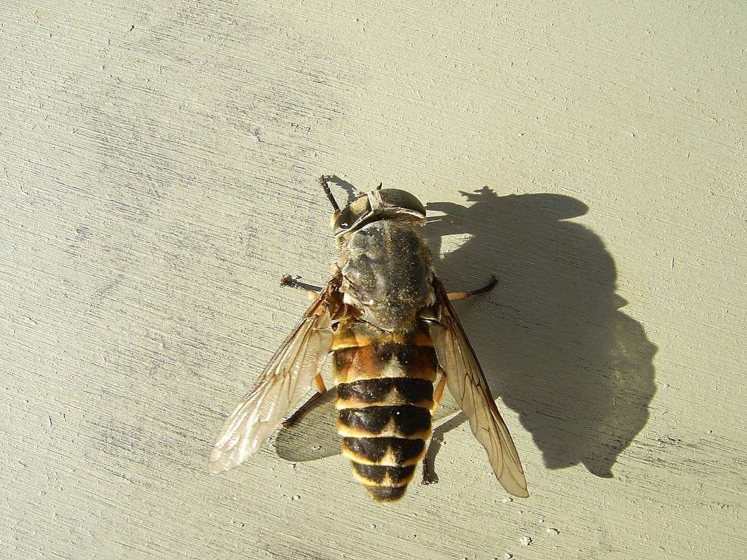 ... ����� S  �� PhotoGeek.ru #�����