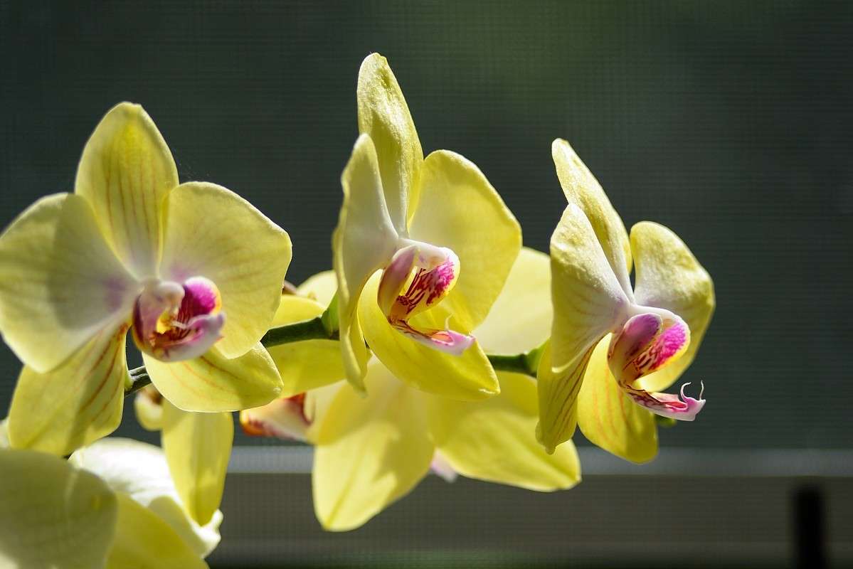 ... ����� S  �� PhotoGeek.ru #������ ��� ������� #����� ��������������