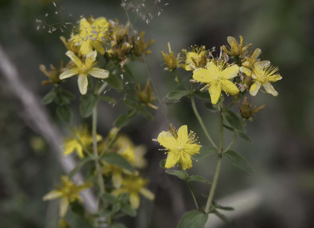 ... ����� S  �� PhotoGeek.ru #������ ��� ������� #����� ��������������