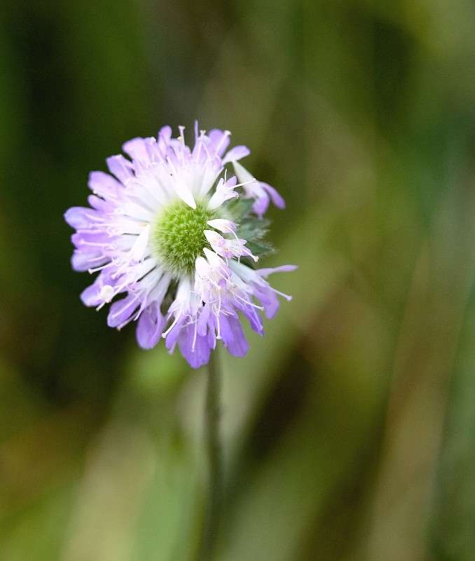 ... ����� S  �� PhotoGeek.ru #������ ��� ������� #����� ��������������