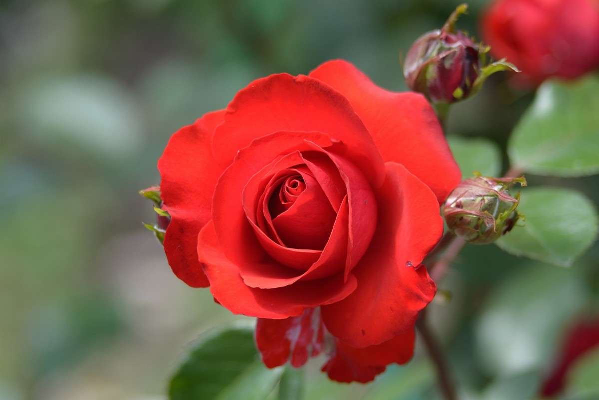 ... ����� S  �� PhotoGeek.ru #������ ��� ������� #����� ��������������