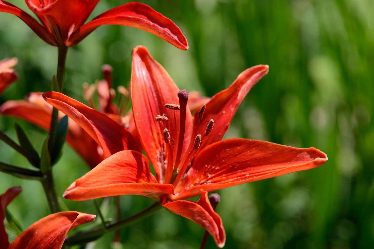 ... ����� S  �� PhotoGeek.ru #������ ��� ������� #����� ��������������