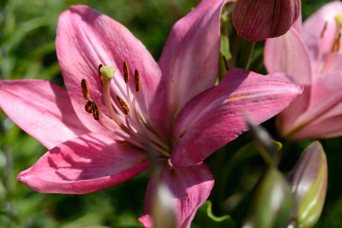 ... ����� S  �� PhotoGeek.ru #������ ��� ������� #����� ��������������