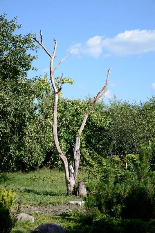 ������� ����� S  �� PhotoGeek.ru #������ ��� ������� #��������