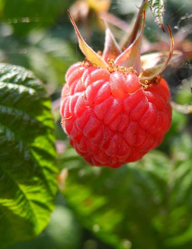 ������� ����� S  �� PhotoGeek.ru #������ ��� ������� #����� ��������������