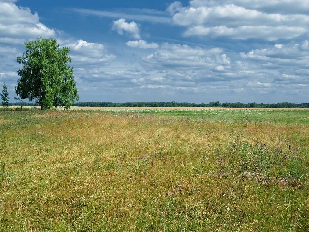 ... ����� S  �� PhotoGeek.ru #������ ��� �������