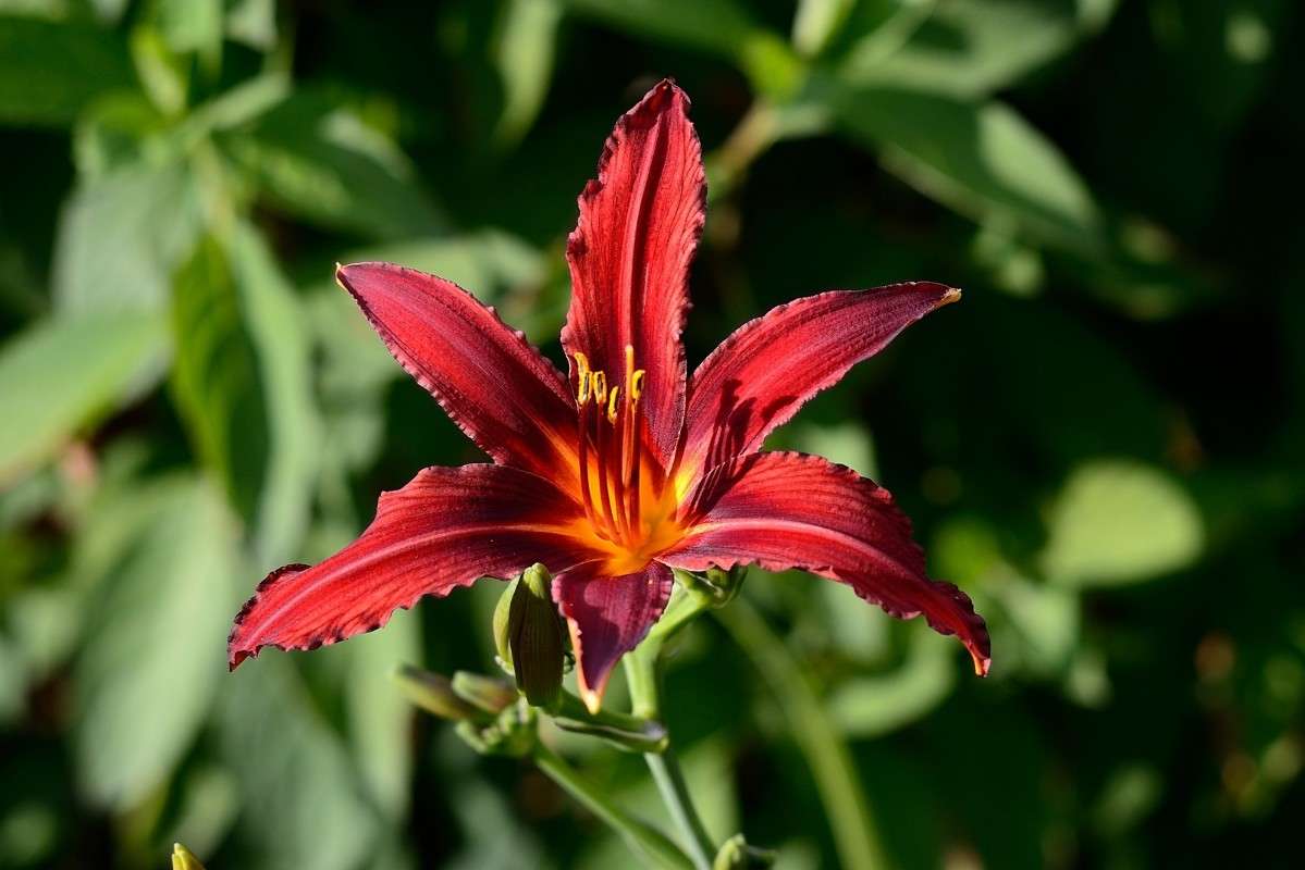 ���� � �������� �����.... ����� S  �� PhotoGeek.ru #������ ��� ������� #����� ��������������