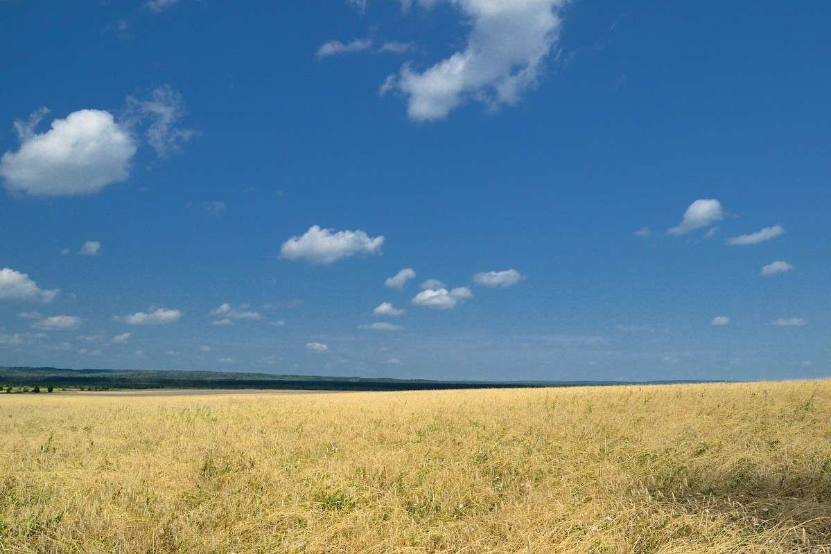 ... ����� S  �� PhotoGeek.ru #������ ��� �������