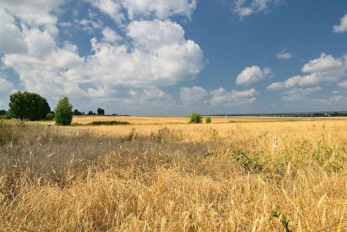 ������� ���� ����� S  �� PhotoGeek.ru #������ ��� �������