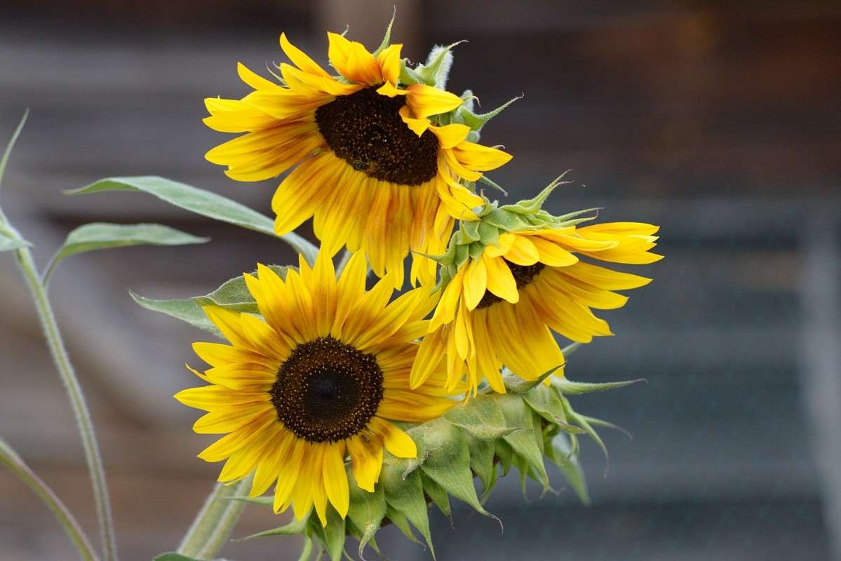 ��� ������ ����� S  �� PhotoGeek.ru #������ ��� �������