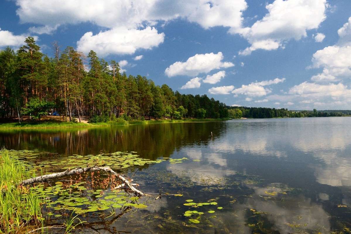 � ����... ����� S  �� PhotoGeek.ru #������ ��� �������