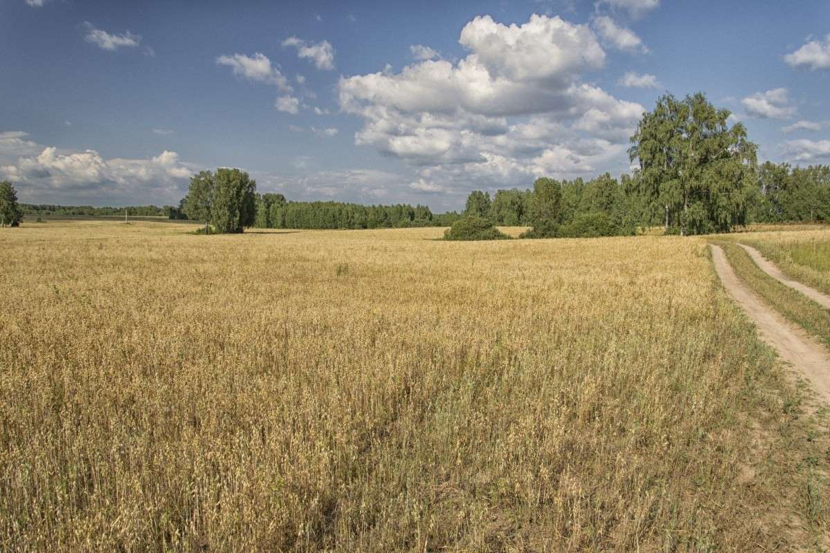 ���� ����� S  �� PhotoGeek.ru #������ ��� �������