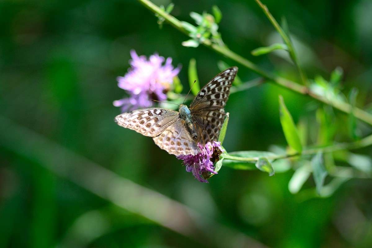 ... ����� S  �� PhotoGeek.ru #�������� ���