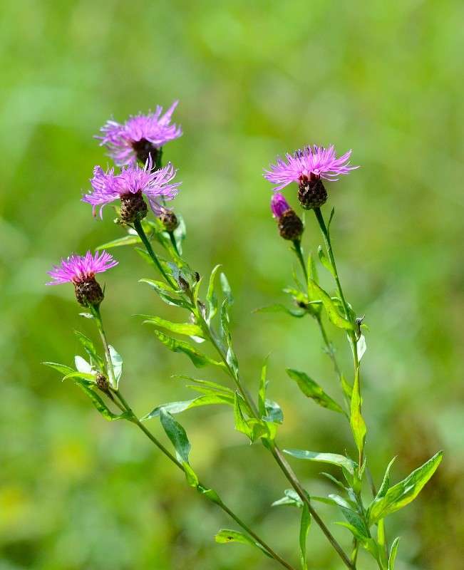 ... ����� S  �� PhotoGeek.ru #������ ��� �������