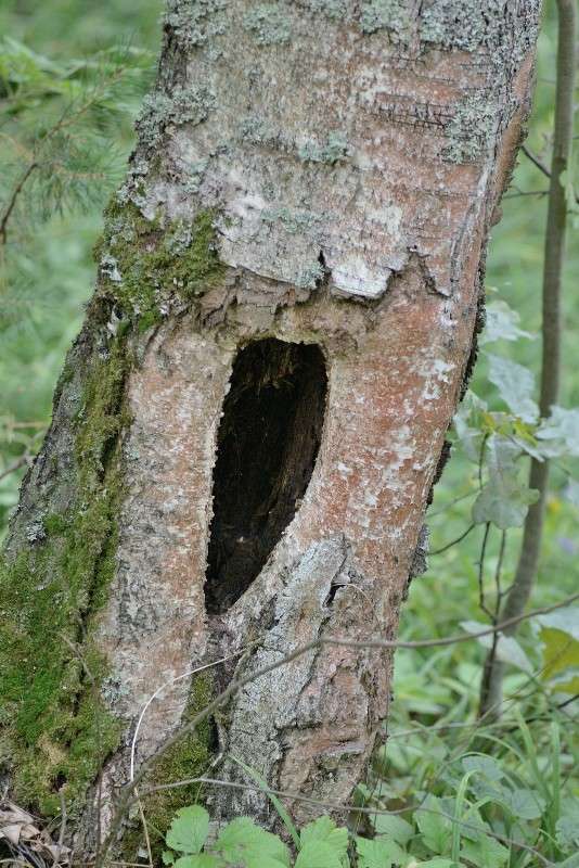 ���� ����� S  �� PhotoGeek.ru #������ ��� �������