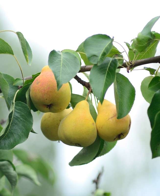 ������� ����� S  �� PhotoGeek.ru #������ ��� ������� #����� ��������������