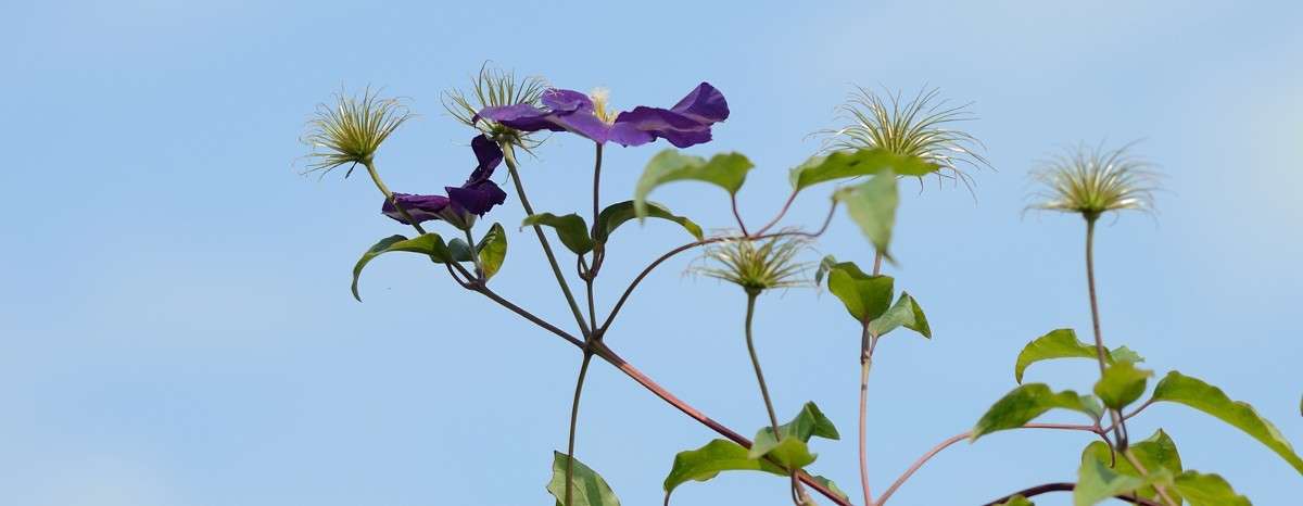 � ����... ����� S  �� PhotoGeek.ru #������ ��� �������