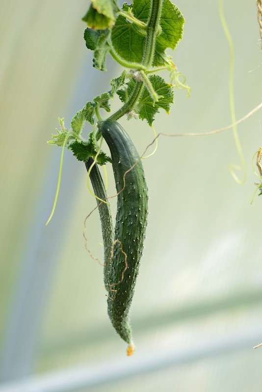 �������� :) ����� S  �� PhotoGeek.ru #������ ��� �������