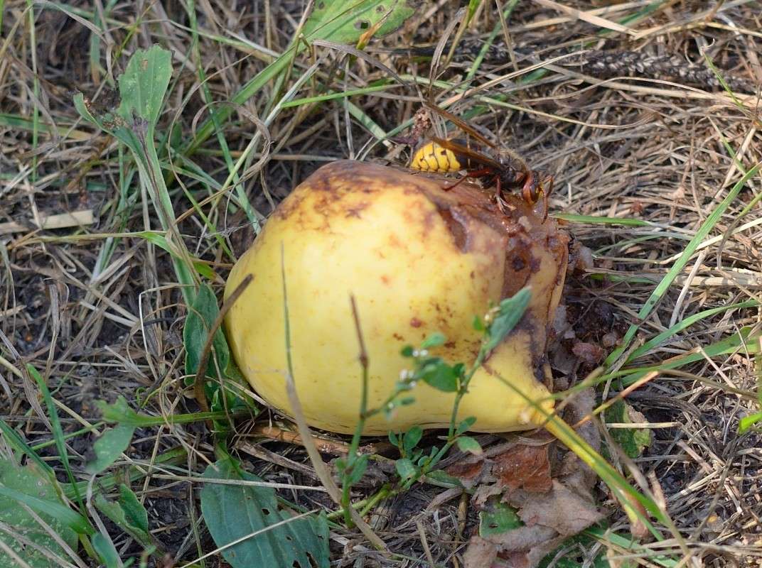 �� �������.... ����� S  �� PhotoGeek.ru #�������� ���