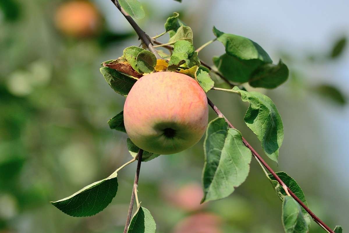 ... ����� S  �� PhotoGeek.ru #������ ��� �������